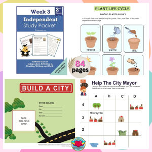 GRADE 2 Independent Study Pack Worksheet/Workbook HomeSchool Learning Materials | RABAH UP STORE