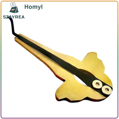 Russian Jaw Harp Musical Instrument Ethnic Gift Beautiful Sound Creative Professional Maultrommel for Adults Children