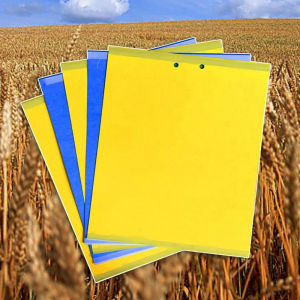 คณะกรรมการแมลงเหนียวแผ่นสติกเกอร์ Flycatcher ที่มีประสิทธิภาพ เทปกาวควบคุมแมลงแมลง