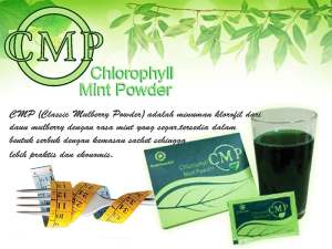 NF CMP HWI - Klorofil Saset Rasa Mint - 1 Bok isi 30 saset  Official Store
