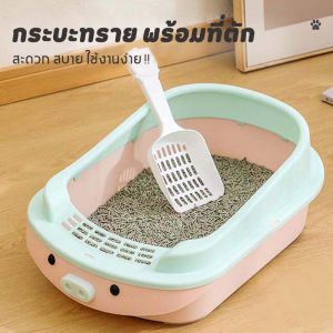 กระบะทรายแมว ห้องน้ำแมว พร้อมที่ตักทราย ถาดทรายแมว เซตกะบะทรายแมว กระบะทรายแมวลายการ์ตูน