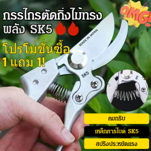 ✂️🔥ซื้อหนึ่งแถมหนึ่ง🔥✂️กรรไกรตัดกิ่ง sk5 แต่งกิ่ง กรรไกรตัดหญ้า แต่งสวน  กรรไกรตัดกิ่งสวนผลไม้กลางแจ้ง เครื่องมือบอน