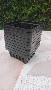 กระถางกล้วยไม้ สี่เหลี่ยม หกนิ้ว แพ็คละ 10 ใบ สินค้าพร้อมจัดส่ง