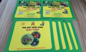 (COMBO 3 MIẾNG) DIỆT SẠCH RUỒI VÀNG/ VUA DIỆT RUỒI ĐẠI VIỆT/ KHÔNG GÂY ĐỘC HẠI