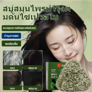 ทําด้วยมือล้วนๆ สะอาด ล้าง ออกจาก ผมสีดํา โพลีโกนัม มัส ของ อุสมาน สมุนไพร สบู่ผมแข็ง