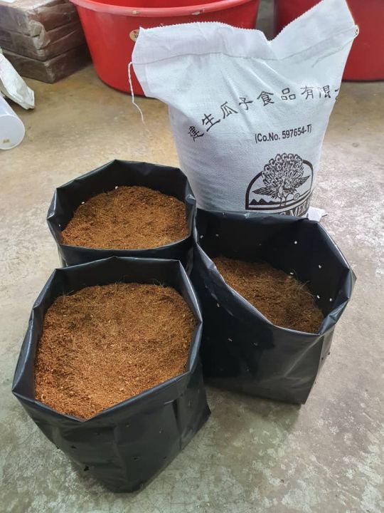 Pherotools Cocopeat/Coco Coir (Sabut Kelapa Growing Medium, Microgreens