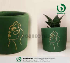 CYLINDER TERRACOTTA PAINTED POT - ARTE LINEAL EDITION - SUCCULENT CACTUS - POTS BY BCONNECTED