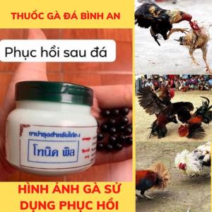 Phục Hồi Sau Đá Gà Chọi 1 HŨ.dạng viên tan máu bầm giảm đau hỗ chợ cho tang gà đá.tránh ké.tăng nước máugiữ bo tốt.TANG tể dành cho gà đá gà chọi chóng ké phù nề gà khoẻ mau phục hồi
