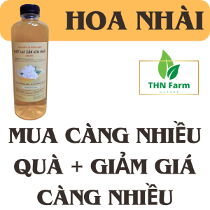 [GIÁ DÙNG THỦ] Nước Lau Sàn Tinh Dầu Quế 1000ml: Xua Đuổi Côn Trùng Mát Lạnh Không Khí An Toàn & Thơm Mát"