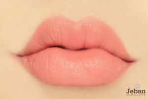 Son Kem Revlon Kiss Cloud Blotted Lip Color 008 Airy Scarlet 016 Berry Soft 014 Blush Much 006 Orange Meringue