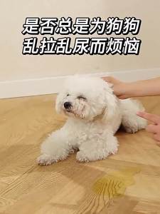 Pet Potty Training Spray Dog toilet training aid dog urination and defecation fixed-point positioning spray pet toilet training guide cat and dog toilet location training liquid