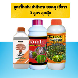 สูตรเด็ดล้างสาร ล้างต้น คุมโรค เสริมภูมิคุ้มกัน เร่งยอด เร่งราก บำรุงดิน