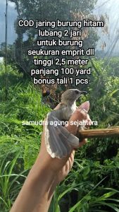 COD jaring burung hitam 012 Tinggi 25 panjang 90 meter bonus tali pikat burung atau perangkap burung empritbondolkolibri kutilang dll murah