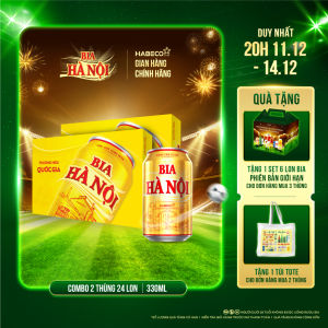 COMBO 2 Thùng 24 lon Bia Hà Nội – HABECO (330ml/lon)