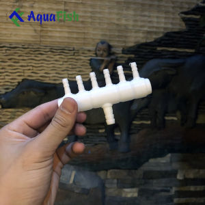 [HOÀN TIỀN 10%]Đầu Chia Sủi Bằng Nhựa 6 Nhánh Phi 4