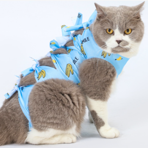 Áo chống liếm cho Chó mèo bằng vải thun lạnh siêu thoáng mát - Hara Pet Store