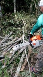Branded STIHL Chainsaw 25 Inches Model Ms381