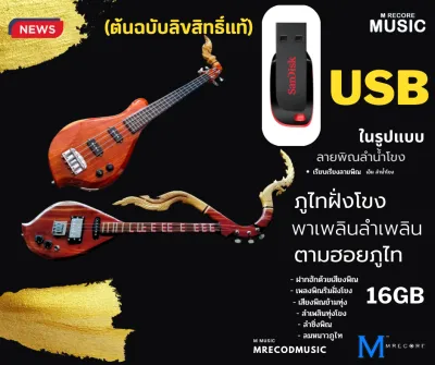 USB-MP3 บรรเลงพิณพร้อมฟัง ลายแห่ลำซิ่งดนตรีอีสานรวมครบชุด ฮิตในดนตรีอีสาน
