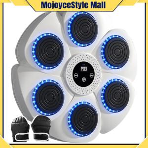 【Free Shipping】 Boxing Kicking Target - Type C Charging Music Reaction Wall Target for Home Fitness