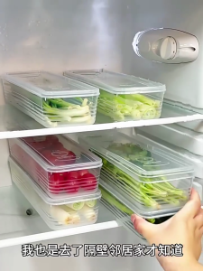Long Rectangular Sealable Plastic Storage Box For Freshness Preservation In Kitchen Cabinets And Refrigerators