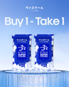 Buy 1 take 1 LeClair VASTCOOL ICE BLAST Super Cooling Deodorant Wipes (8 Sheets)