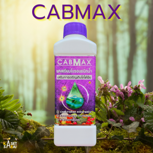 CABMAX แคลเซียมโบรอนชนิดน้ำ ติดดก เสริมขั้วเหนียว เร่งดอก เร่งผล (ขนาด 1 ลิตร) ส่งฟรี