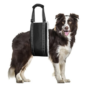 Pet Dog Rehabilitation Belt for Dogs