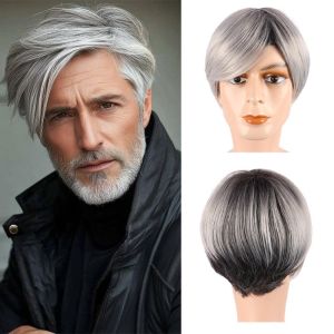 SI958 Realistic Fashion Mens Wigs Toupee Cosplay Short Straight Hair Full Head Gray Layered Synthetic Wig Costume Party