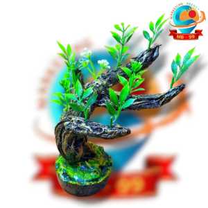 Hiasan Akuarium|Ornamen Aquarium dan Dekorasi Aquascape Bonsai tetean