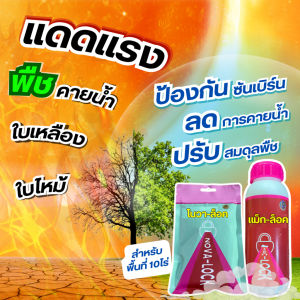 ชุดสีดาลุยแดด ซันเบิร์น แม็คล็อค 500 ซีซี 1 ขวด + โนวาล็อค 1 ซอง ได้พื้นที่ 10 ไร่ ลดการคายน้ำ ปรับสมดุลของพืช