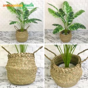 Pohon Artificial Pohon Plastik Daun Musa Florida X18 Semi Latex Cover Pot Purun Belly Pajangan Dekorasi Ruangan Rumah Aesthetic