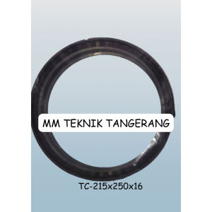 Oil seal TC 215x250x16 215 x 250 x 16 karet oli sil shock breaker 215 250 16