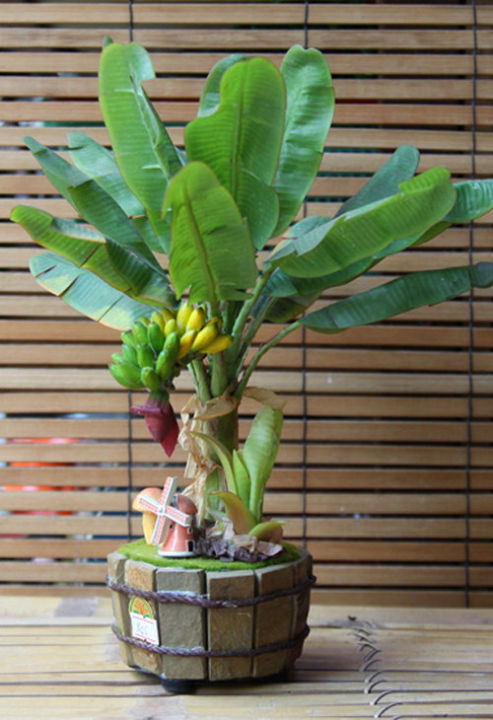 C%C3%A2y%20chu%E1%BB%91i%20c%E1%BA%A3nh%20si%C3%AAu%20l%C3%B9n%20mini,%20c%C3%A2y%20%C4%91%E1%BA%B9p,%20gi%E1%BB%91ng%20chu%E1%BA%A9n%20-%20Image%207