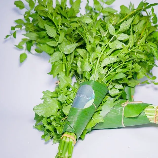 Daun%20Seladren/%20Tespong%20Segar%20500%20gram%20-%20Image%202