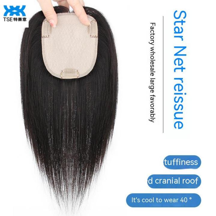 Tse Wig Piece Real Hair Top of Head Hair One Piece Style