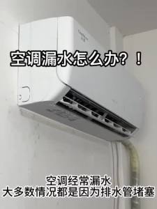 Drain Cleaning Brush Refrigerator dredger Water hole dredger Air conditioner Refrigerator dredger Stainless steel Through hole air conditioner refrigerator Simple Design for Everyday Home Tasks