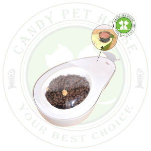 Avocado Pet Food & Water Bowl / Cat Food & Water Bowl / Bekas Makanan Kucing