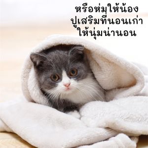 THPET ผ้าห่มสัตว์เลี้ยง70x50cm สุ่มสีนะคะ ผ้าห่มสัตว์เลี้ยง ผ้าห่มสุนัข ผ้าห่มแมว ที่นอนสุนัข ผ้ารองเบาะนอนสัตว์เลี้ยง