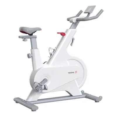 Yesoul M1P Spin Bike ★ Official Sole SG Distributor ★ 6.5 Kg Flywheel ★ Magnetic Resistance ★ Interactive Mobile APP