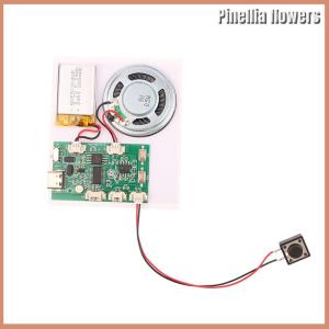 【Pinellia flowers】 300 Second Recording Playback Module Key Recording Greeting Card Sound Recorder Board Clear Sound Quality