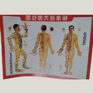 Meridian Slimming Brush Handheld Slimming Leg Belly Slimming Beauty Salon Massage Tool Multi Functional Massage Meridian Brush