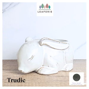 The Leaferie Trudie Rabbit plant pots. Ceramic flowerpot . flowerpots . flower pot . planter . planters . Flowers