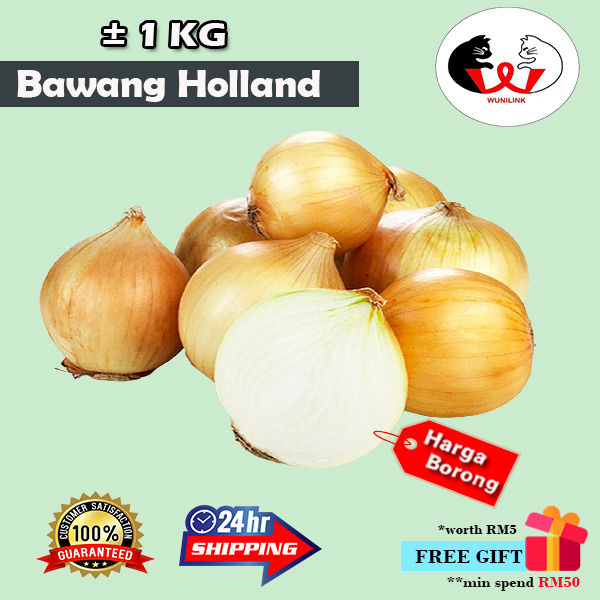Bawang Holland ±1kg 白洋葱 荷兰葱 Fresh Stock[Handpicked]