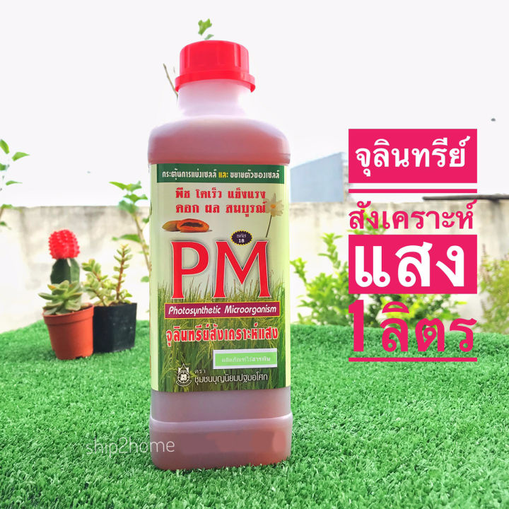 จุลินทรีย์สังเคราะห์แสง บำรุงพืชและดิน ไร้สารพิษ