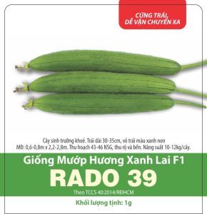 Hạt Giống Mướp Hương Xanh Lai F1 Dễ Trồng Thơm Ngọt sai trái