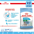 Royal Canin Starter Mother&babydog MINI และ MEDIUM รอยัลคานินอาหารสุุนัข แม่สุนัขตั้งท้อง ให้นม และลูกสุนัข ขนาด 1 kg. 