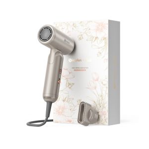 Simplus High Speed Hair Dryer | 283g Ultra-Light | 300 Million Negative Ions | Snapsonic CFJH012