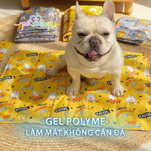 [HCM] Thảm mát cho thú cưng Super Cool – Đệm gel lạnh chống nóng cho chó mèo dễ làm sạch -Randy