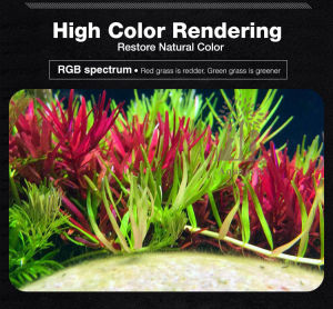 Neo Helios Flat Light XP Full Spectrum WRGB Ultra Slim LED Planted Tank Aquarium Aquascape Lampu Pokok Hidup