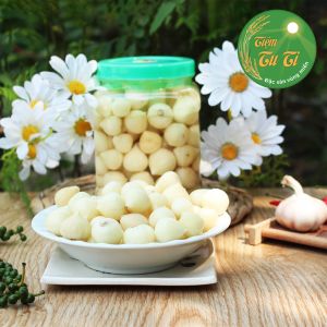 TỎI CÔ ĐƠN NGÂM CHUA NGỌT - Tỏi Cô Đơn Phú Yên Sơn La - Củ Nhỏ Mẩy Chắc Củ